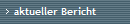 aktueller Bericht